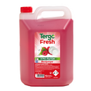 Tergo Σαπούνι για Πιάτα 4Lt Βατόμουρο